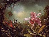 Orchid with Two Hummingbirds by Martin Johnson Heade